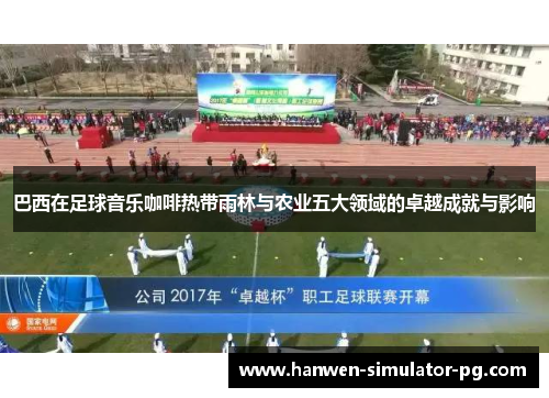 巴西在足球音乐咖啡热带雨林与农业五大领域的卓越成就与影响