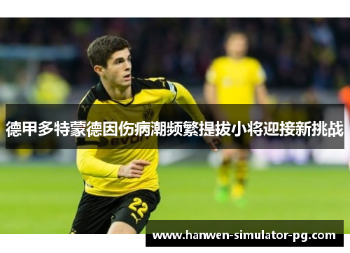 德甲多特蒙德因伤病潮频繁提拔小将迎接新挑战 德甲多特蒙德因伤病潮频繁提拔小将迎接新挑战